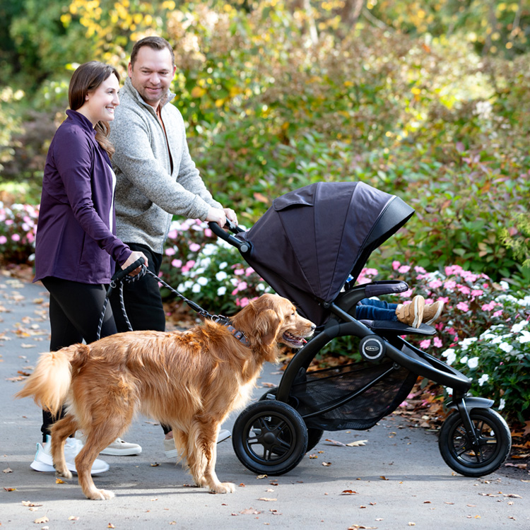 Dad pushing child in TrailRider pushchair while mum walks with a dog